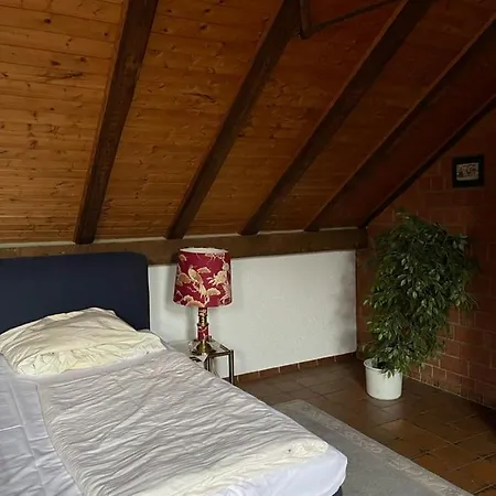 Hotel B-hotel 3*